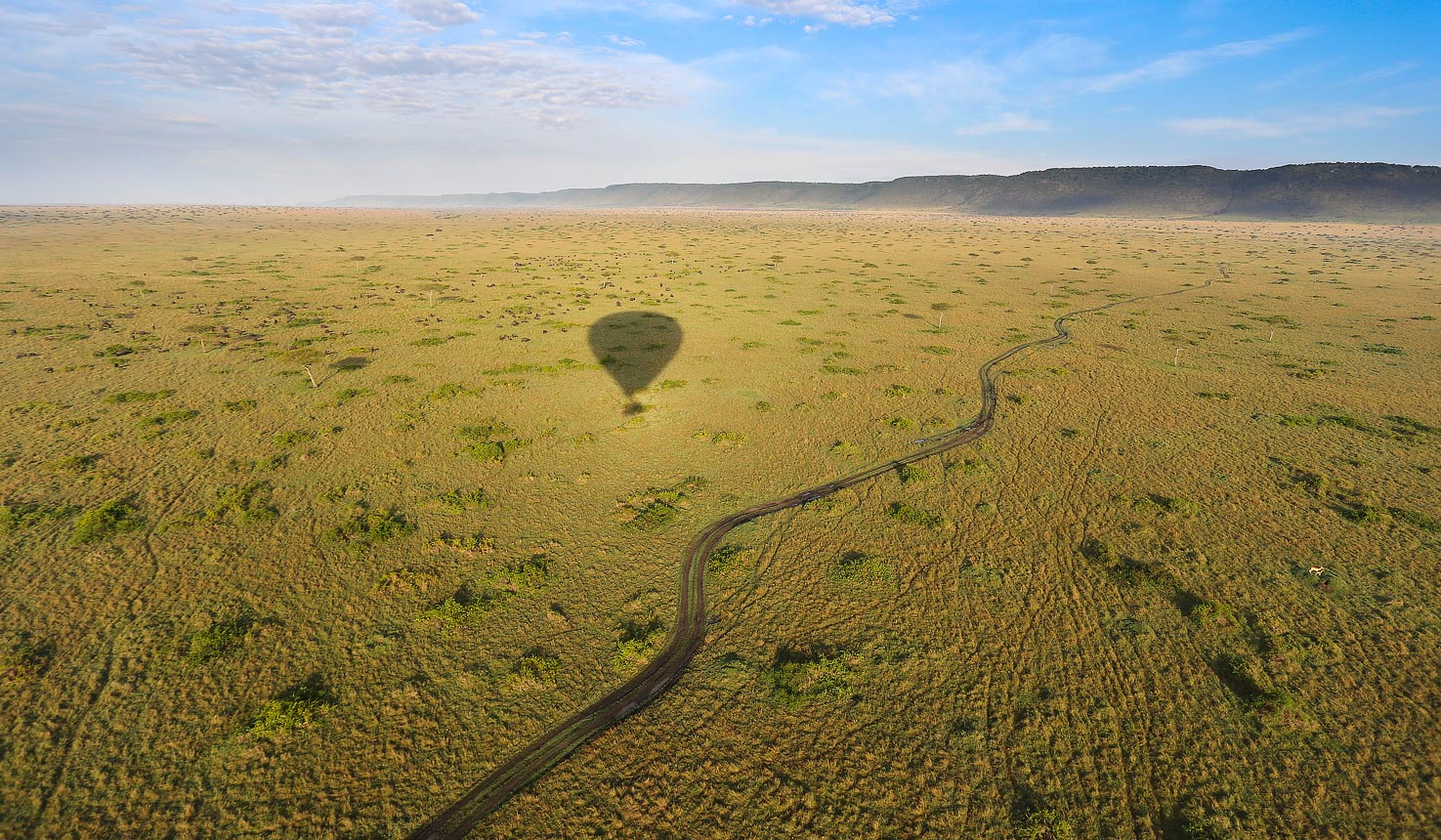 Balloon Safari, 03