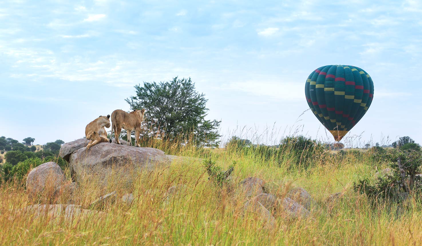 Balloon Safari, 04