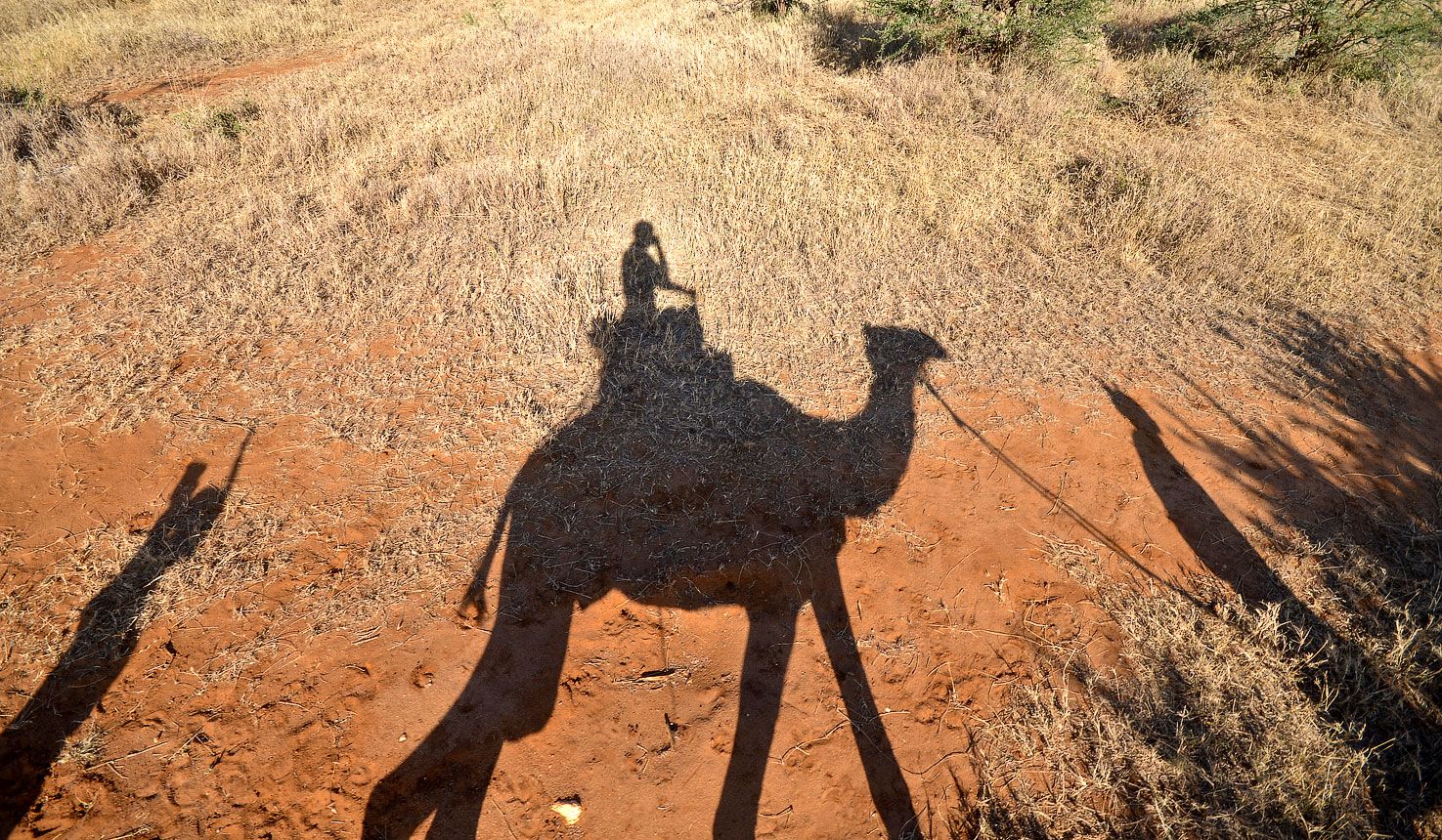 Camel Safari, 02