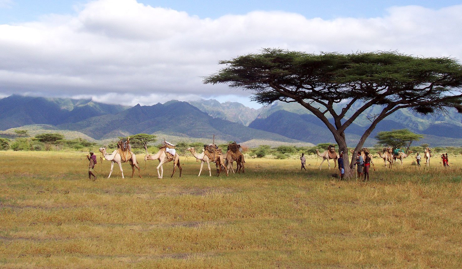 Camel Safari, 04