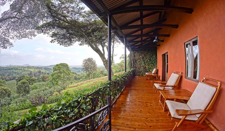 These areas often contain very high quality rural lodges which provide a chance to appreciate the magic of rural Africa.