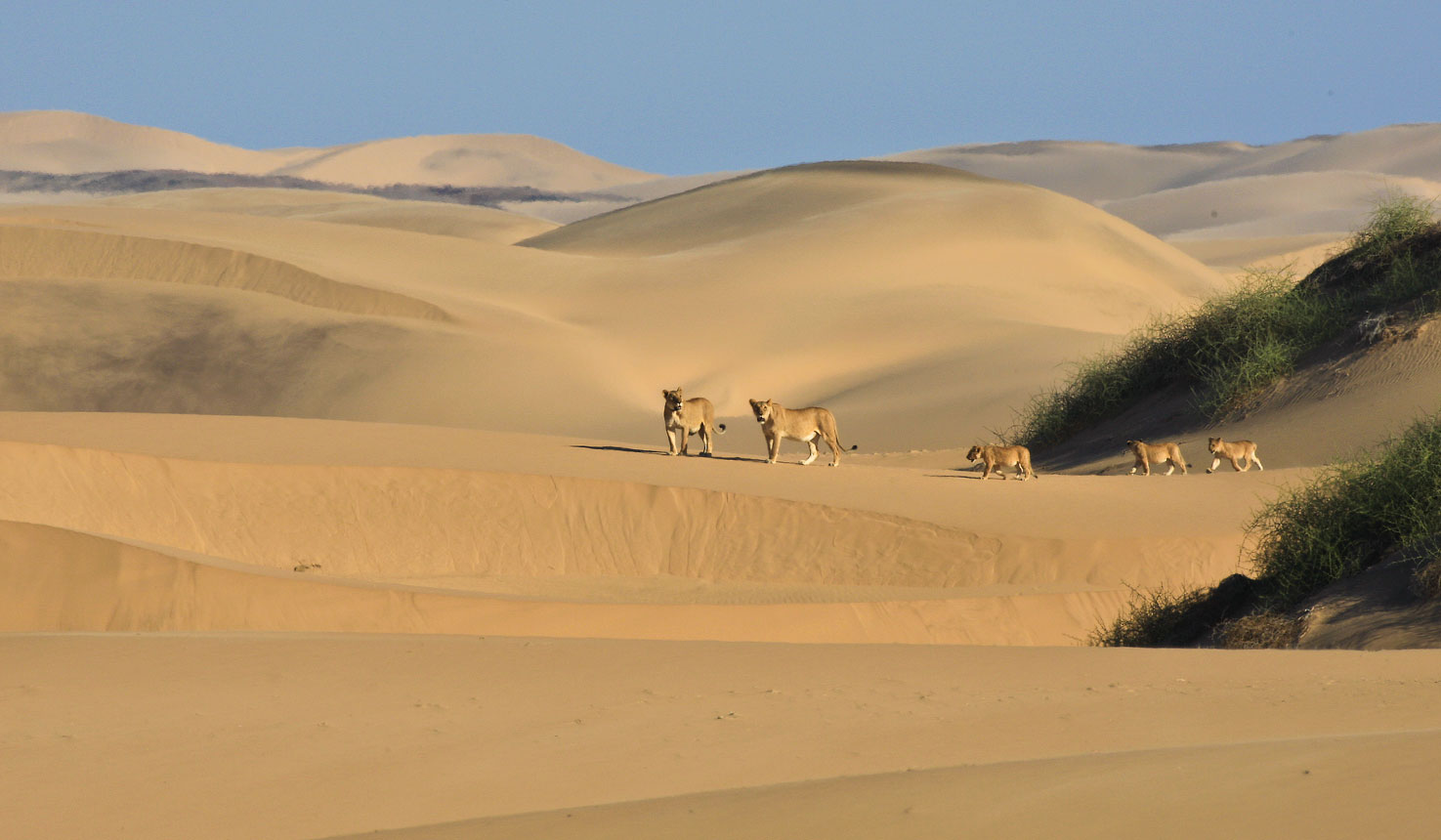 The Best Locations For Dunes With Africa Travel Resource