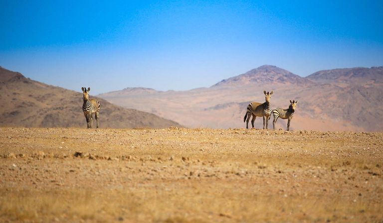 namibia africa travel resourece