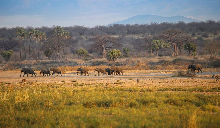 Northern Tanzania Ultimate Safari