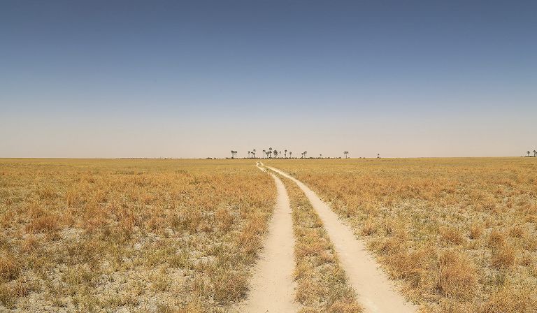 Activities include quad-biking, vehicle safari, palaeontology, Bushman interaction, meerkats and night vehicle safari.