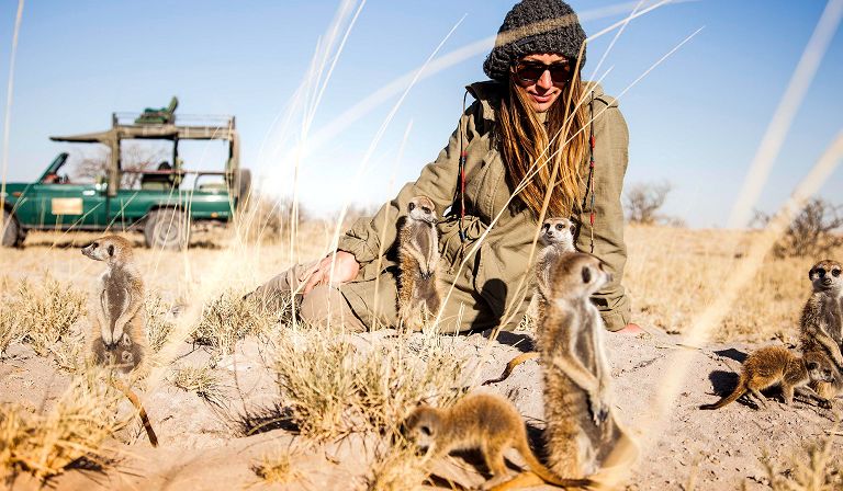 A visit to a habituated meerkat colony is a real highlight.
