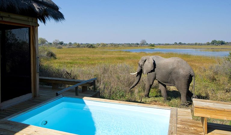 Slideshow image 13 for Vumbura Plains Camp