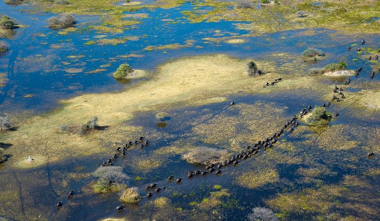 Activities include vehicle safari, motorboat safari, mokoro canoe safari, walking safari and night vehicle safari.