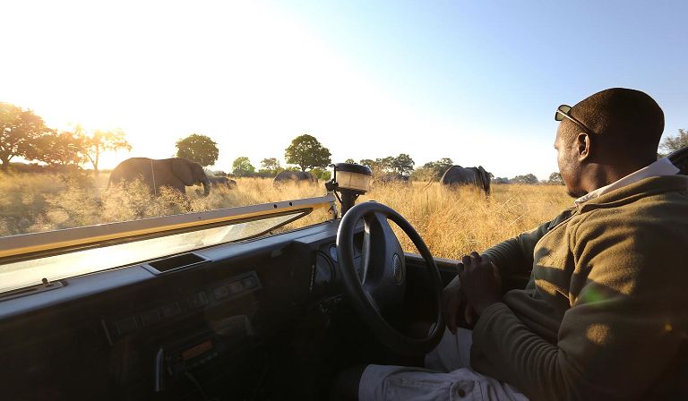 The primary activity here is vehicle safari, by day and night.