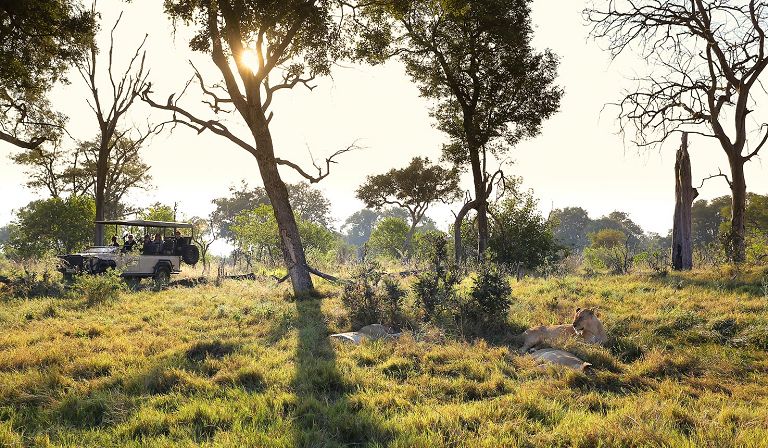 Slideshow image 28 for Vumbura Plains Camp