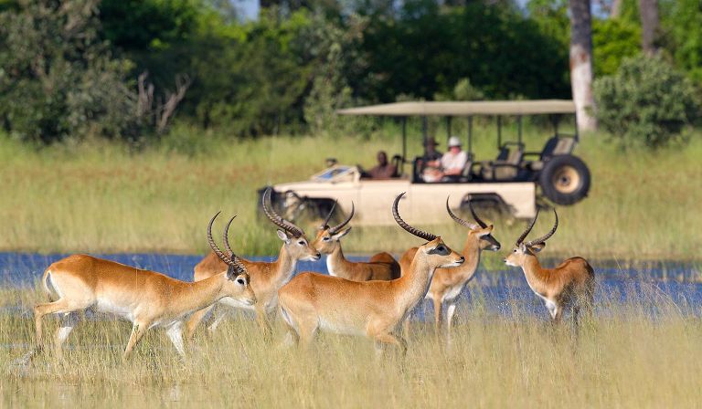 Slideshow image 31 for Vumbura Plains Camp