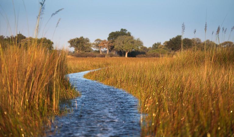 Motorboat safari is usually also at its best during the same period.