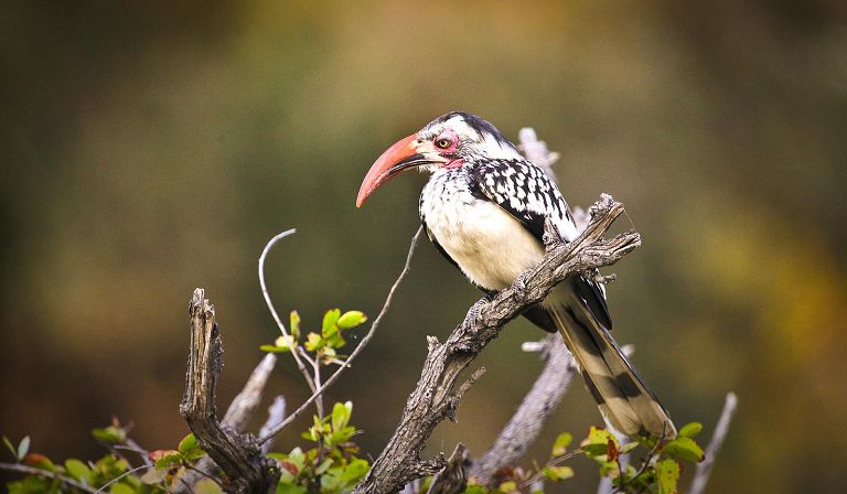 The best time of year is the May-Sep dry season, although there are reasons to visit during other months.