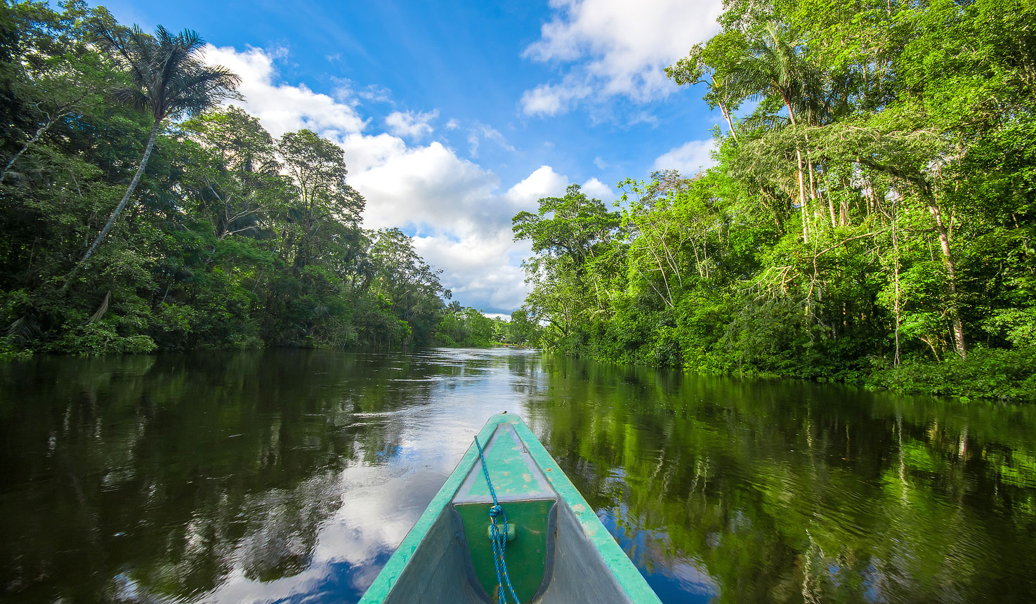 amazon rainforest tour manaus