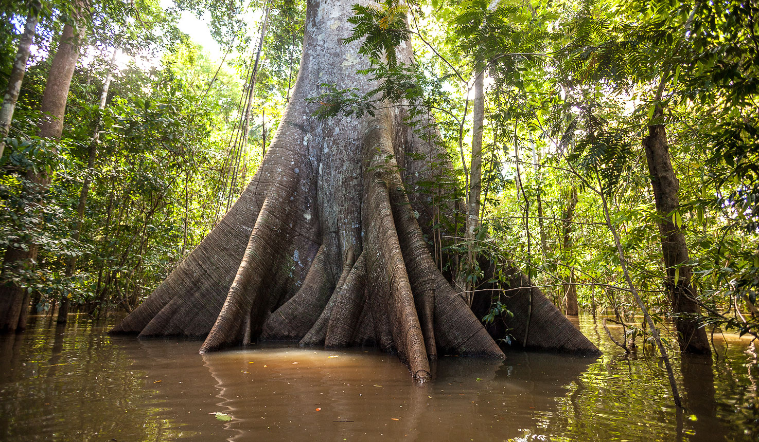 Manaus Amazon safaris with Africa Travel Resource