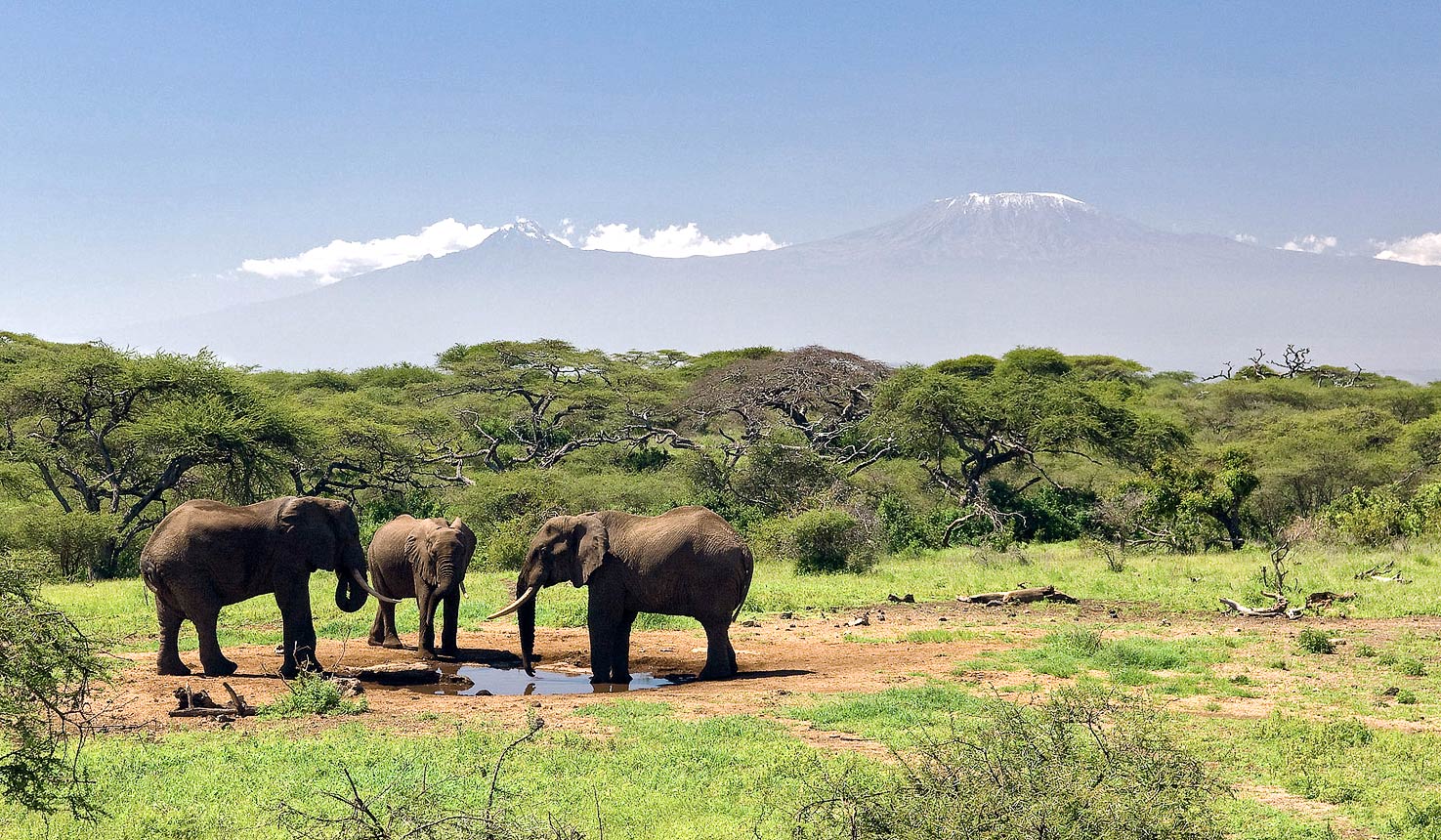 Kenya, Areas Image 2
