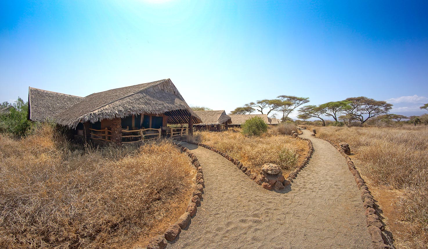 Safari To Kibo Safari Camp With Africa Travel Resource