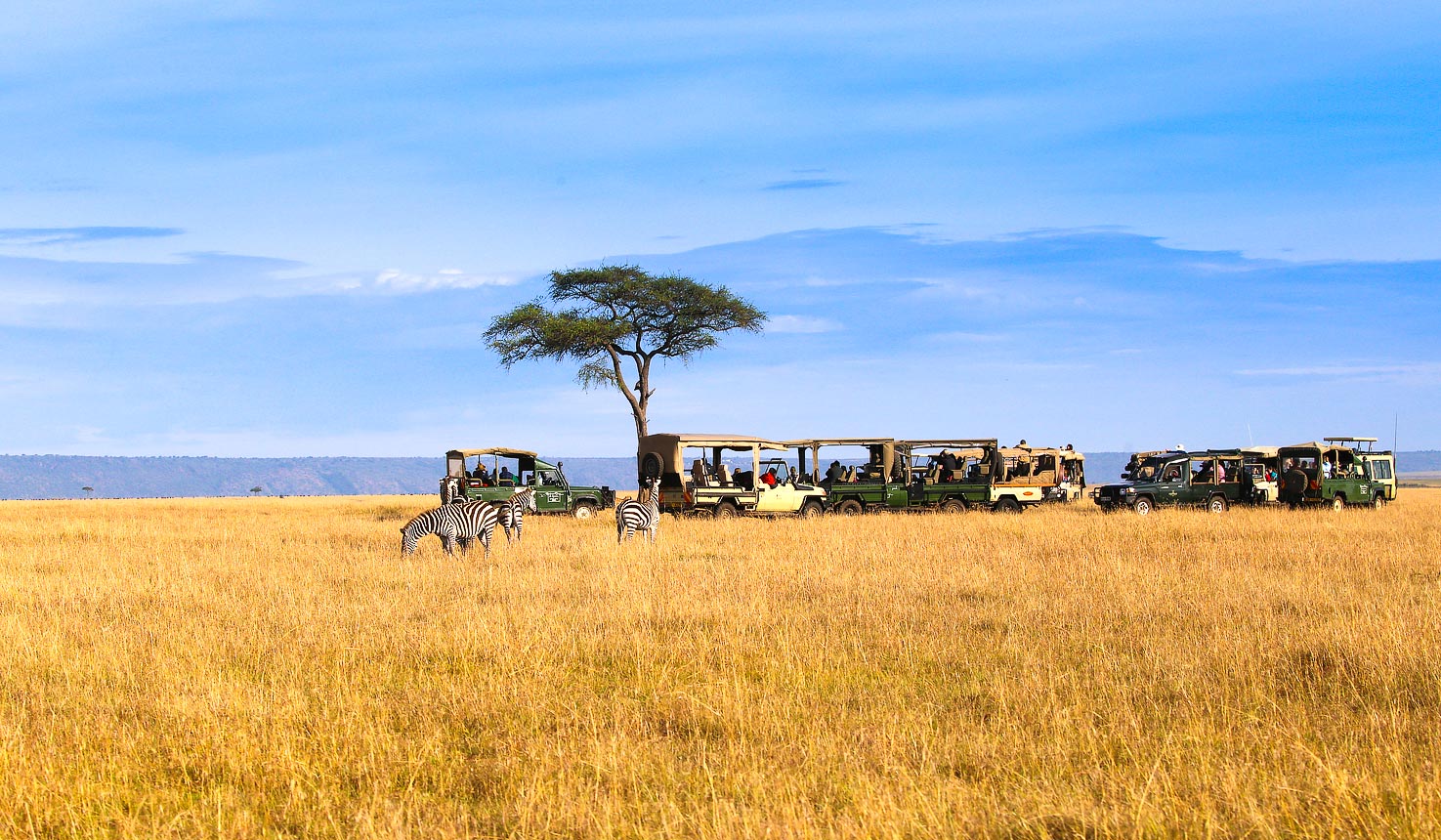 Maasai Mara, Downsides