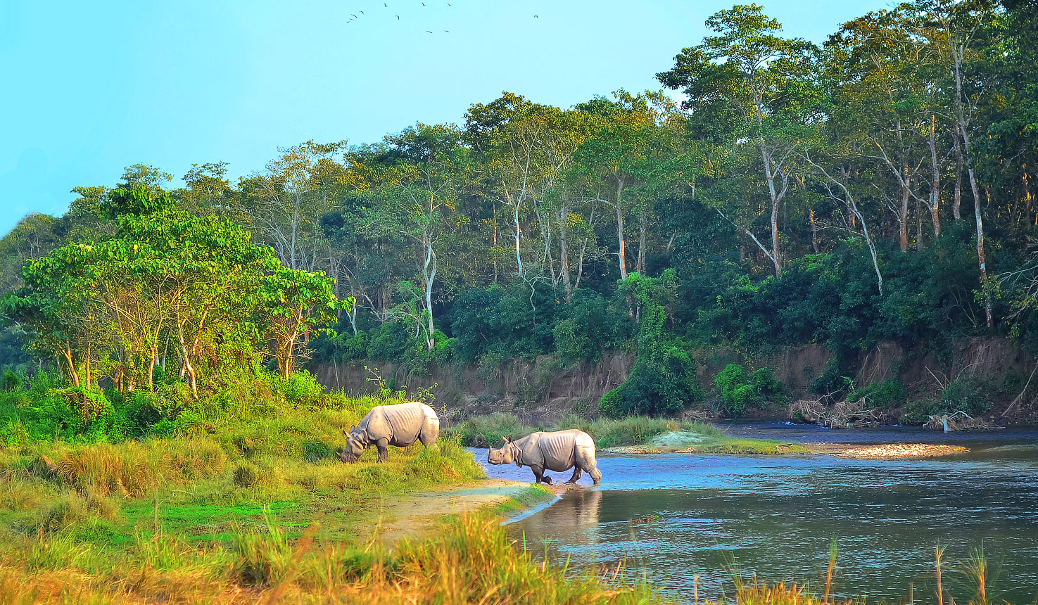 chitwan safari travel