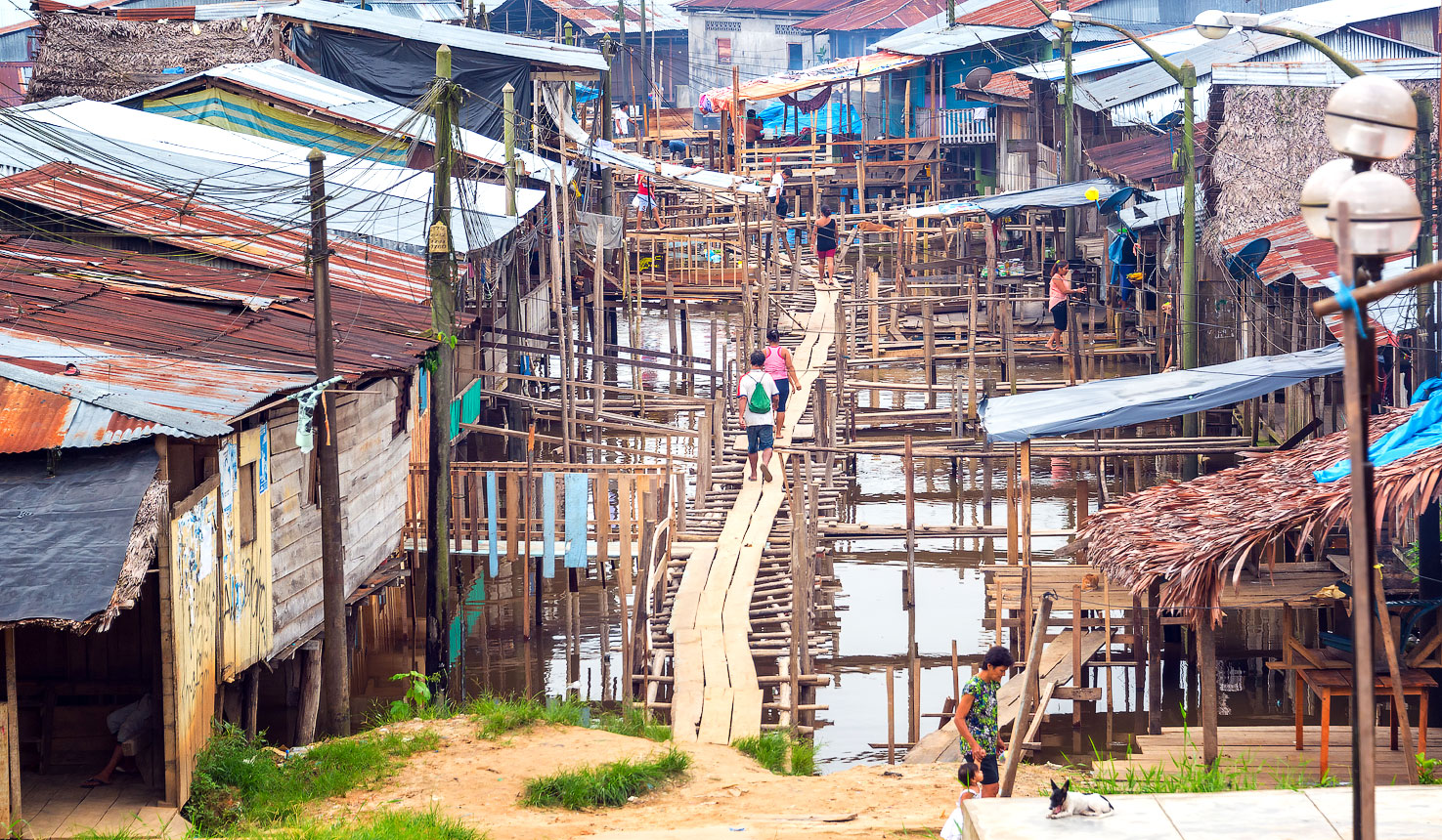 Iquitos Amazon safaris with Africa Travel Resource