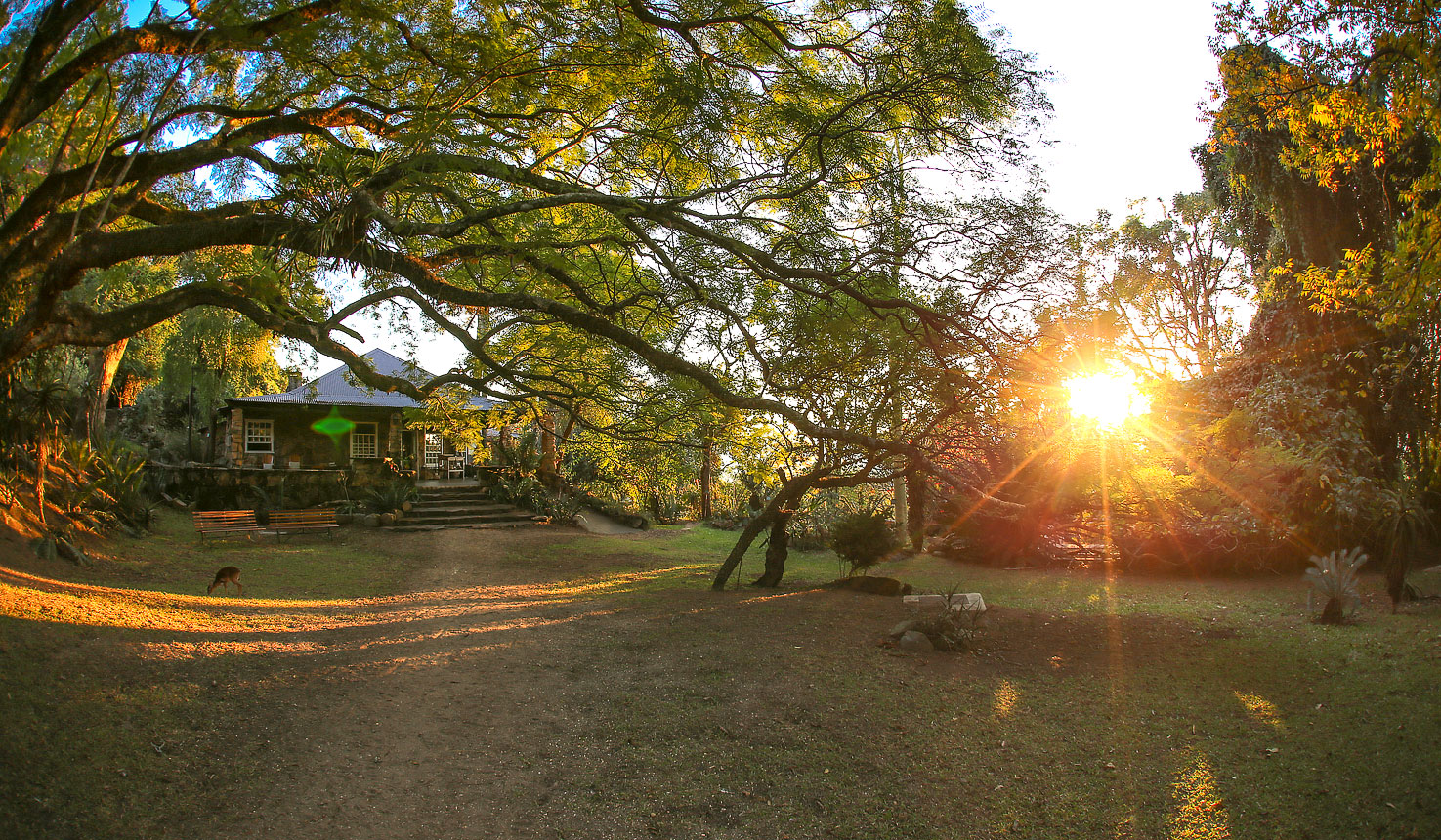 Safari to Reillys Rock Lodge with Africa Travel Resource