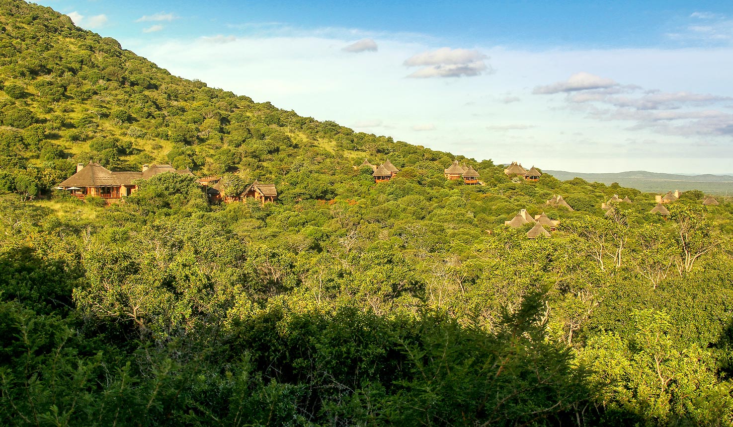 Thanda Safari Lodge, Location