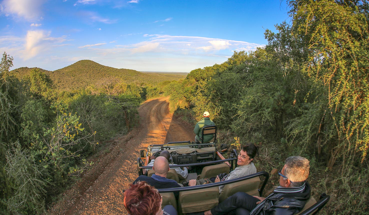 Thanda Safari Lodge, Activities