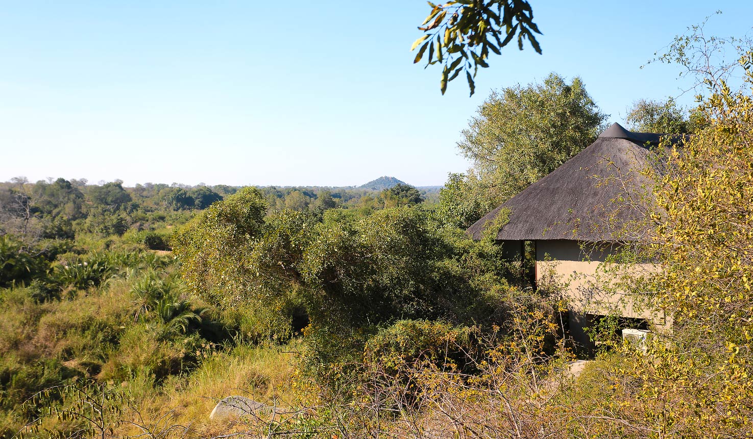 Safari To Londolozi Tree With Africa Travel Resource