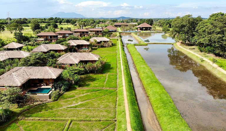 Safari to Water Garden Sigiriya with Africa Travel Resource