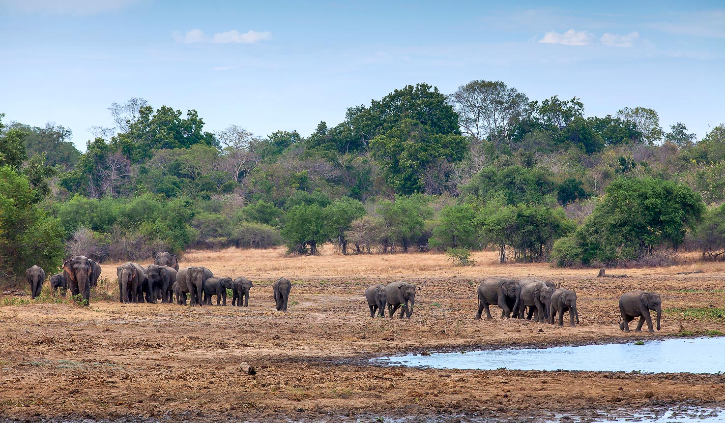 Safari to Mahoora Wasgamuwa Camp with Africa Travel Resource