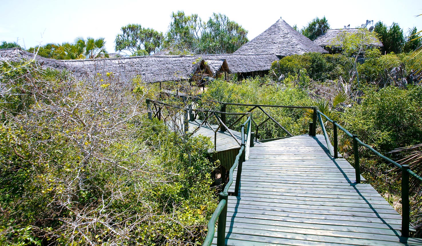 Saadani Safari Lodge, Lodge