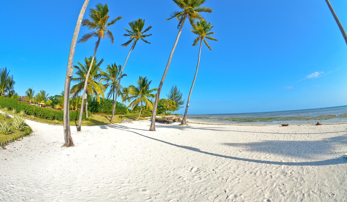 Safari To The Residence Zanzibar With Africa Travel Resource - 