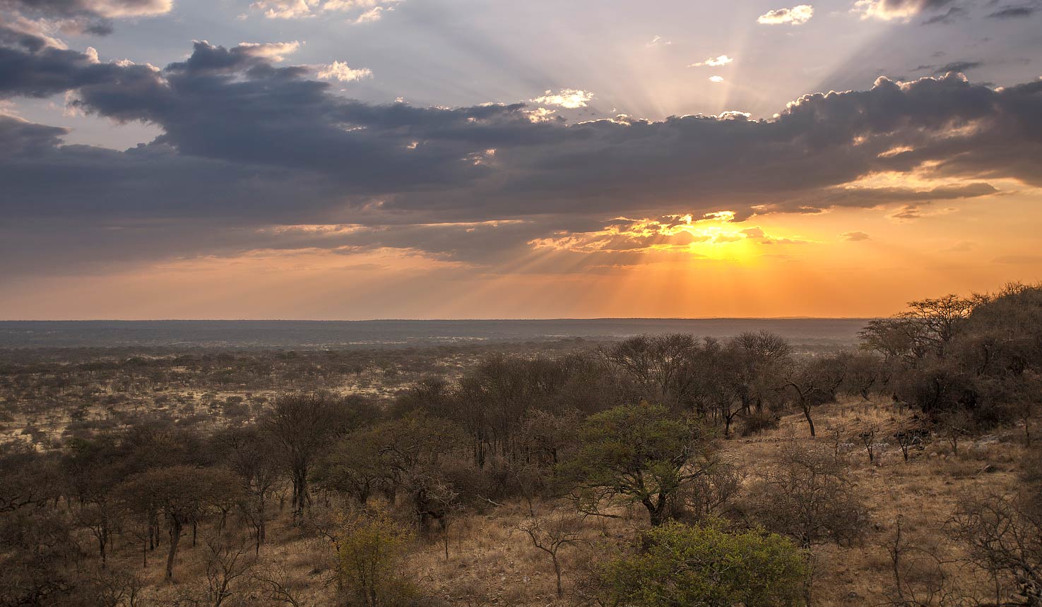 Safari to Legendary Mbono Camp with Africa Travel Resource