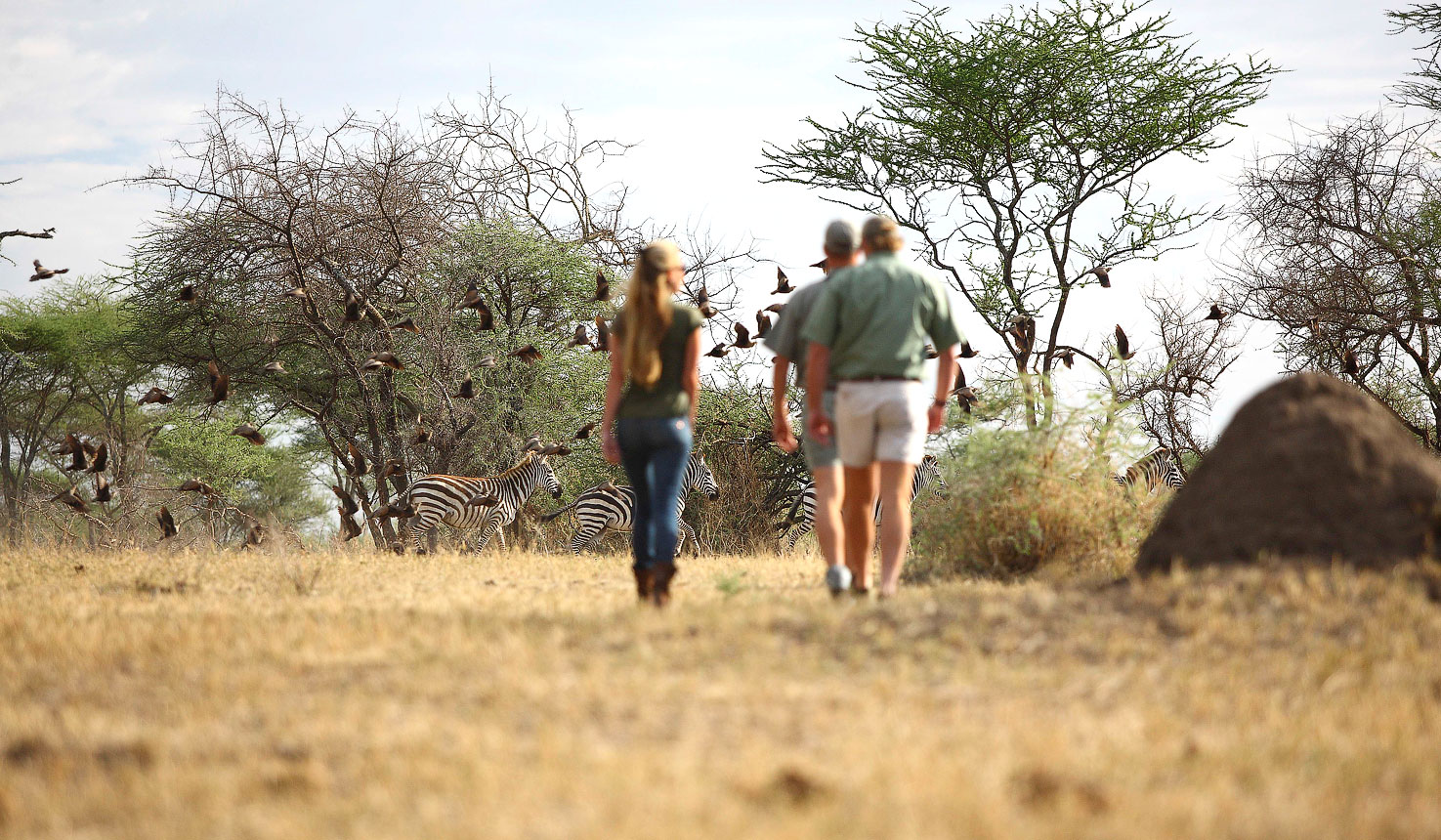 Legendary Mila Tented Camp, Tanzania