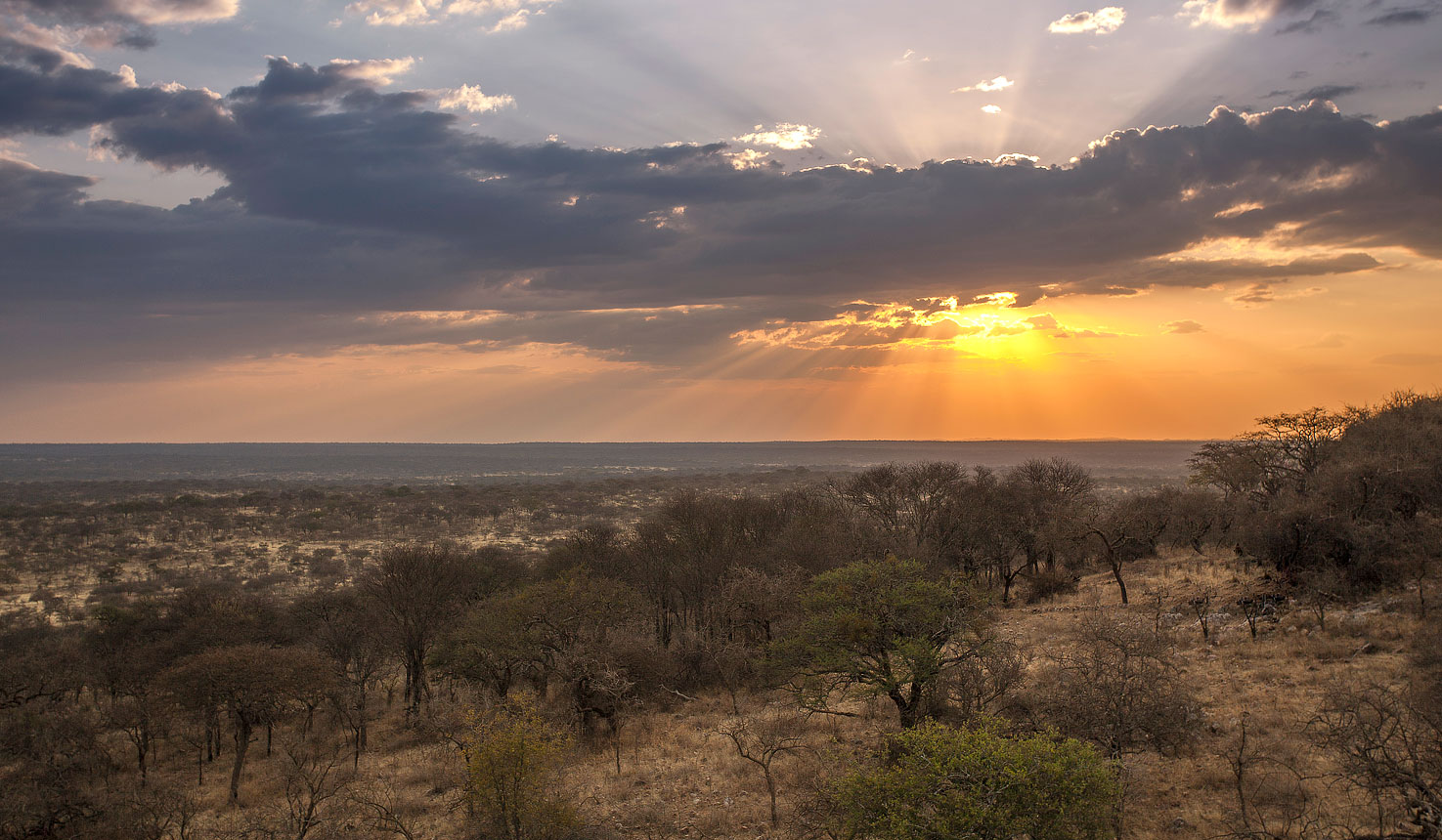 Legendary Mila Tented Camp, Tanzania