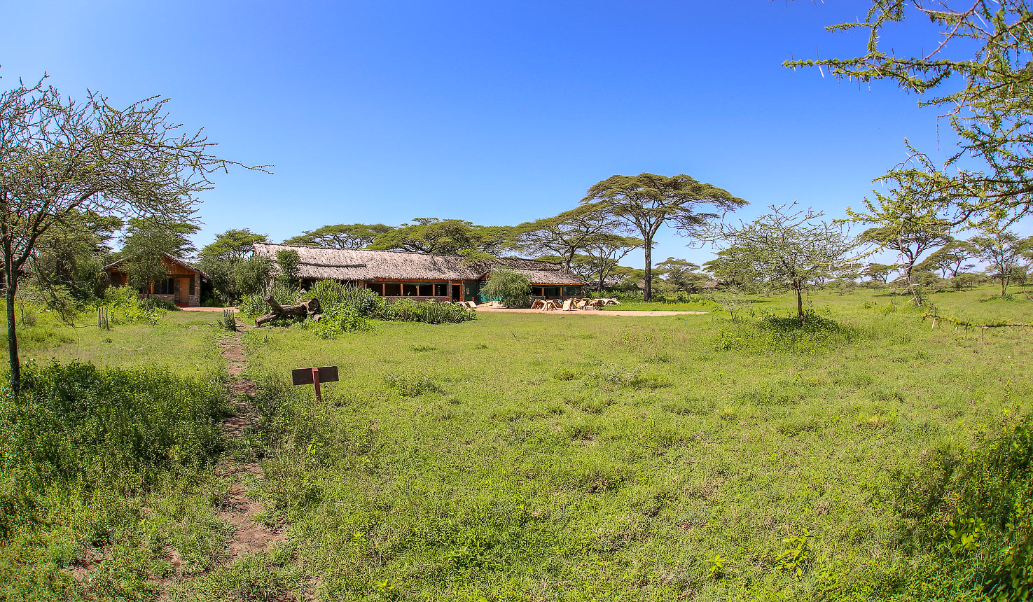 Ndutu Safari Lodge, Lodge