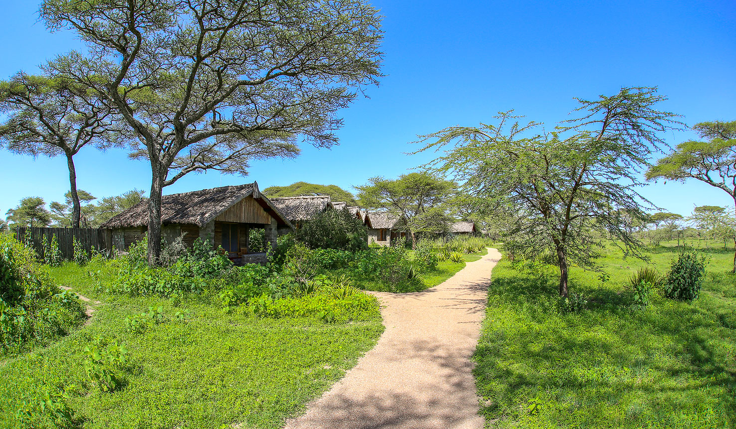 Ndutu Safari Lodge, Cottage