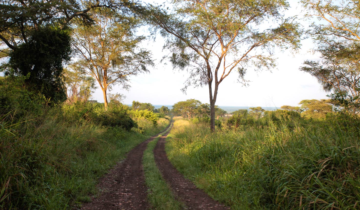 Jacana Safari Lodge, Location