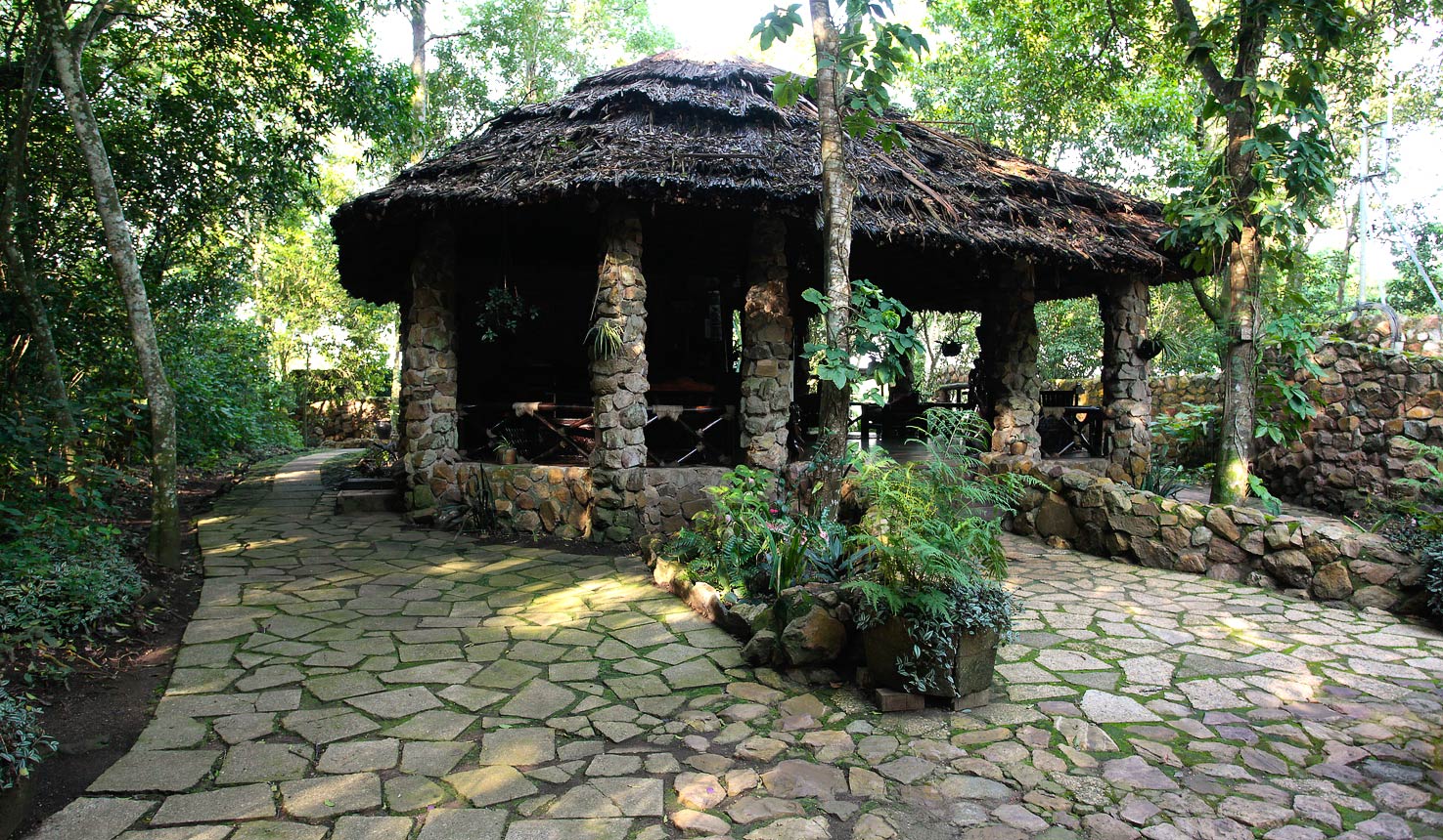 Jacana Safari Lodge, Lodge