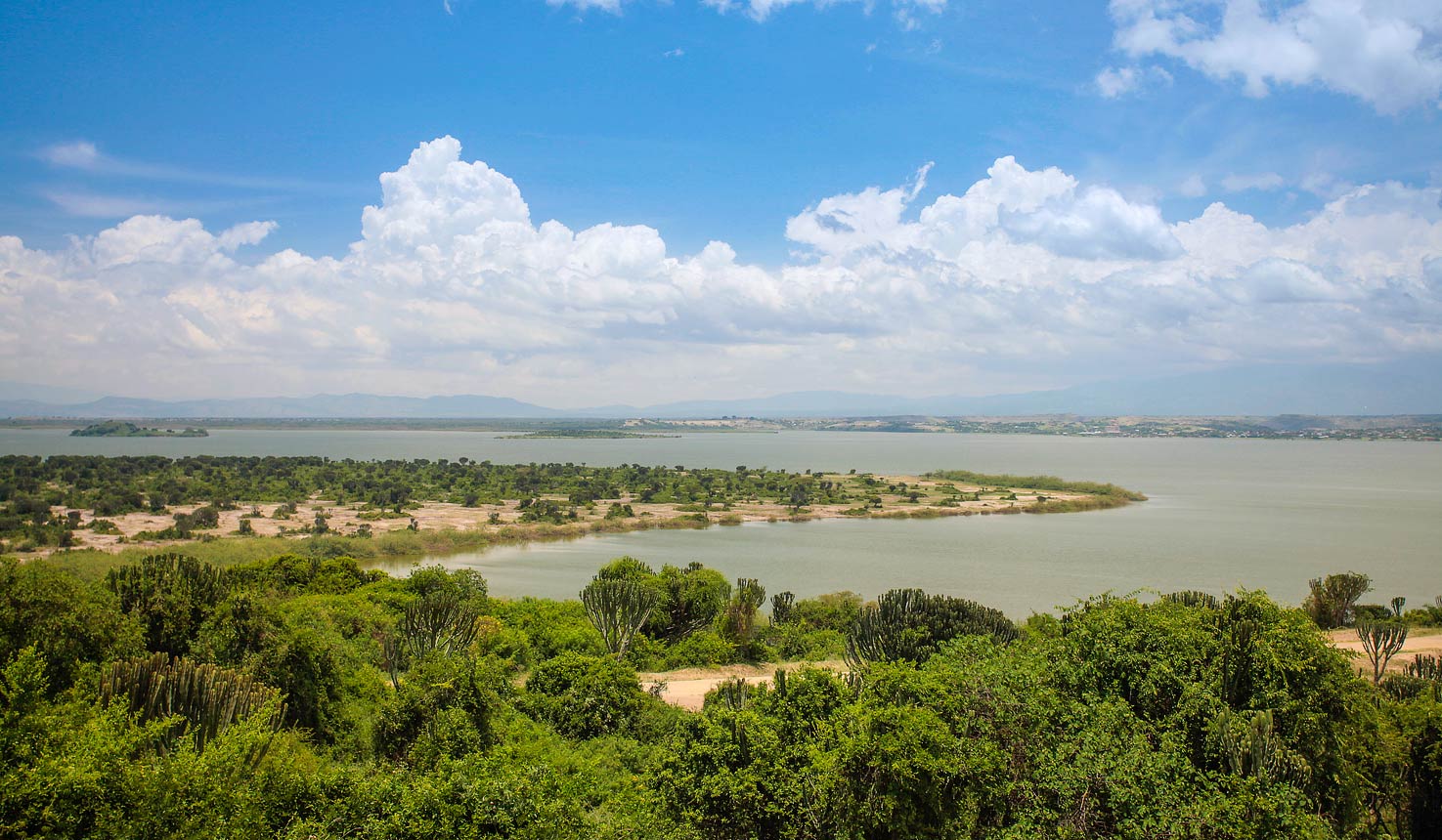 Jacana Safari Lodge, Motorboat Safari