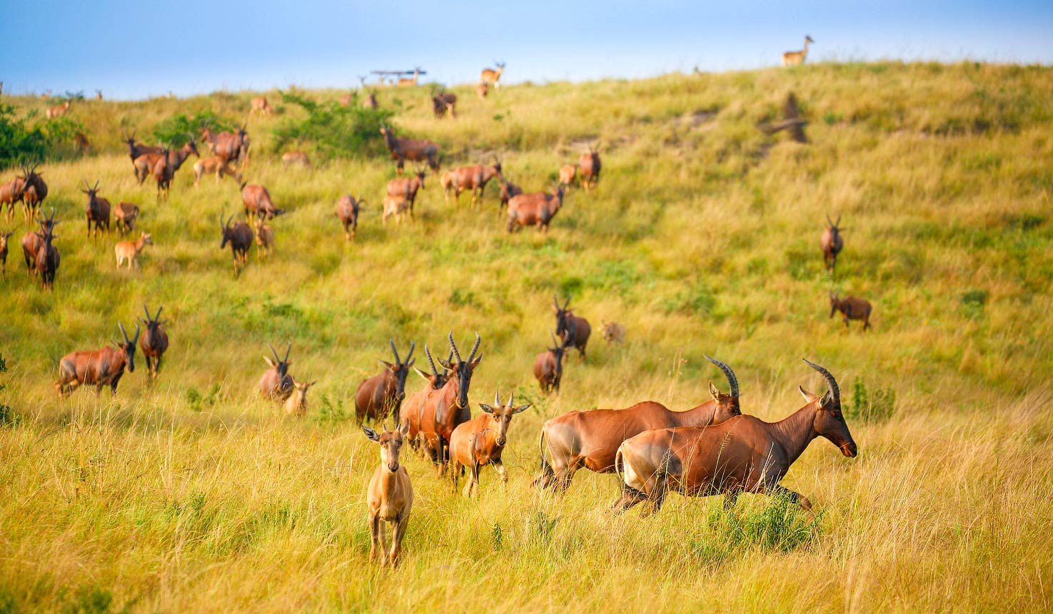 Jacana Safari Lodge, Seasonality