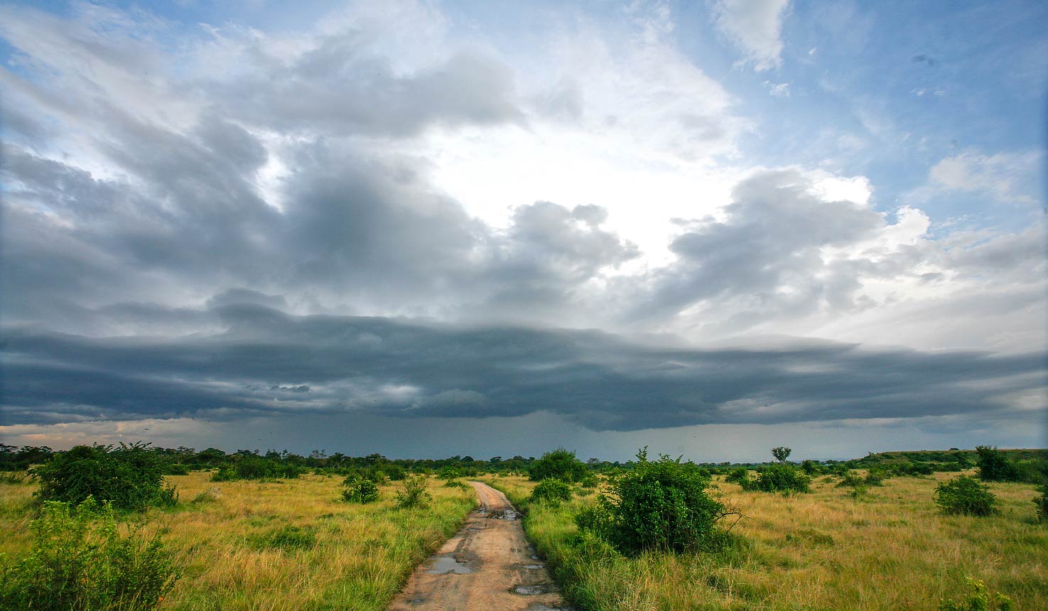 Jacana Safari Lodge, Downsides